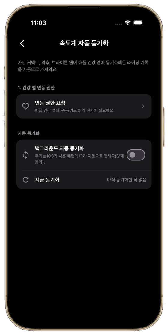 속도계 자동 동기화 설정 화면
